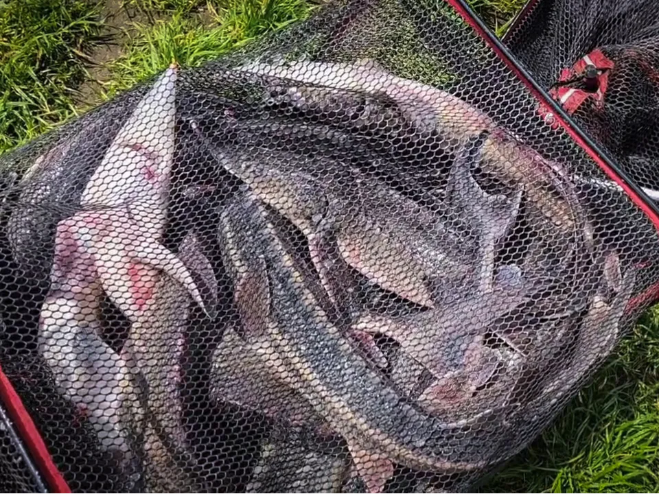 Фото: МедиаБанк Подмосковья/Ольга Антонова