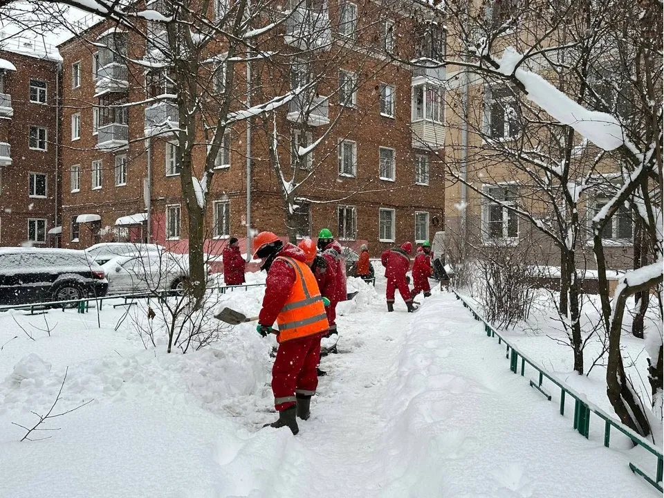 Фото: SoboleV_kotelniki