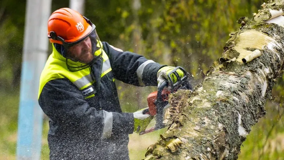 Фото: пресс-служба губернатора и правительства Московской области/Александра Степанова