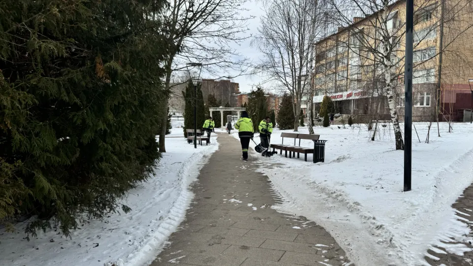 Фото: МедиаБанк Подмосковья/Татьяна Рунова