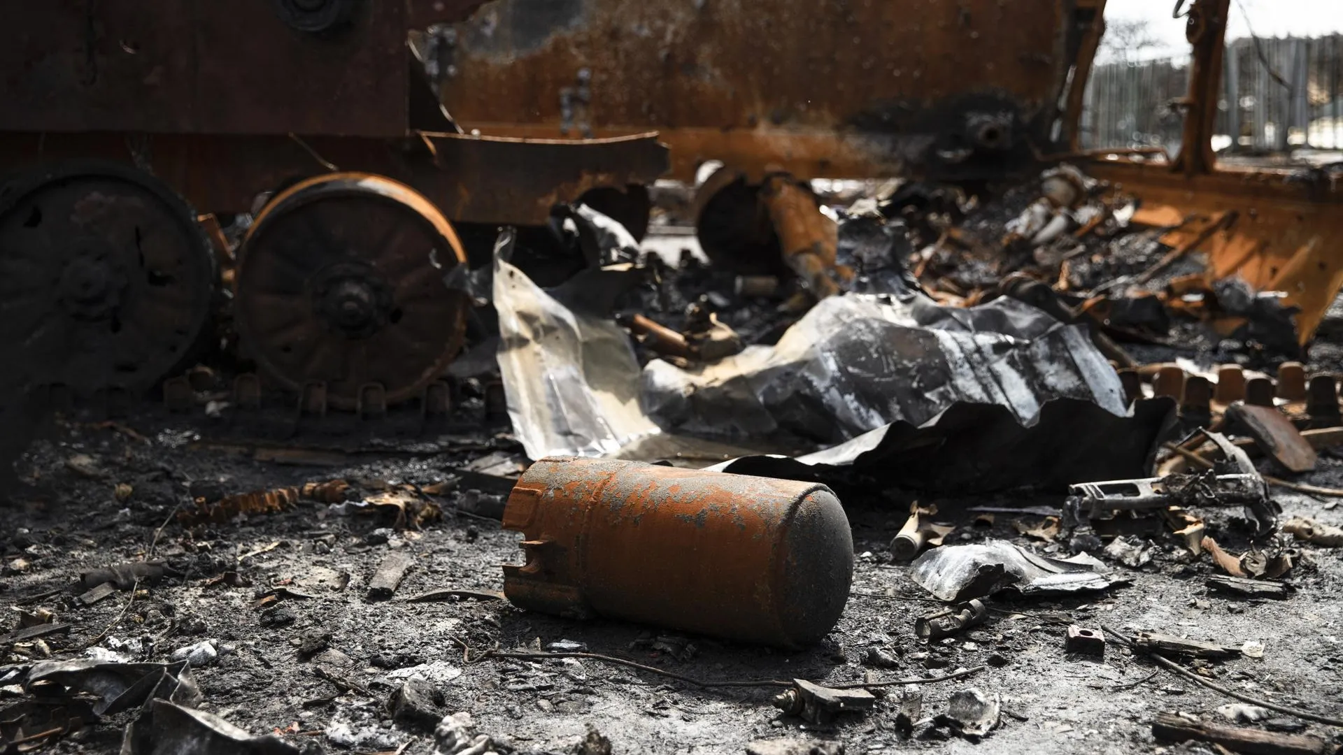 Фото: ru.freepok.com