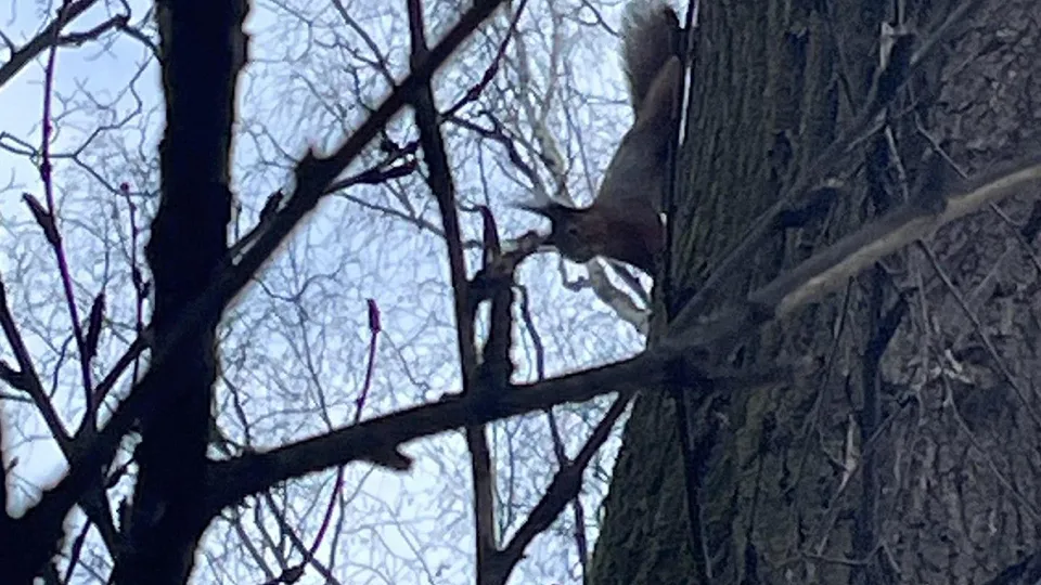 Фото: Администрация го Клин