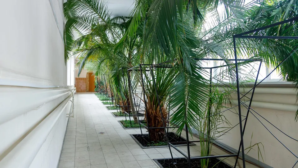 Фото: Наталья Лымарь