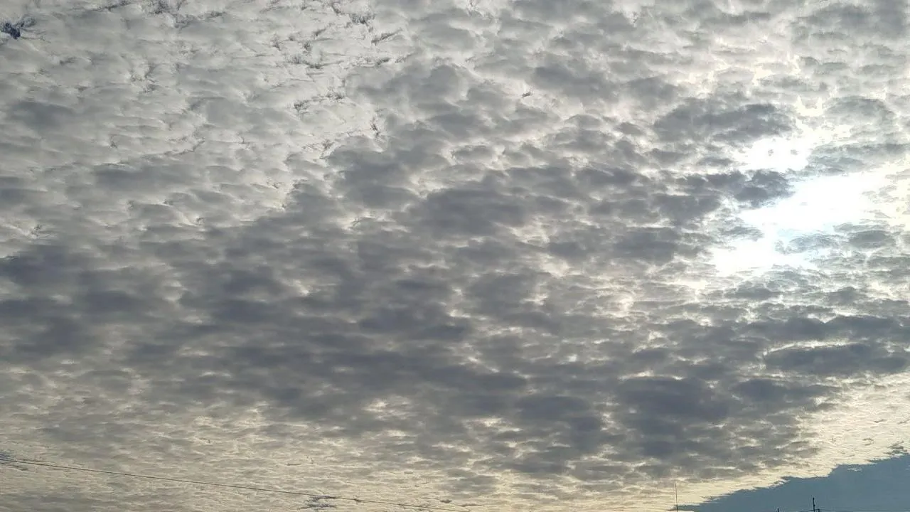 REGIONS/Юлия Куделькина