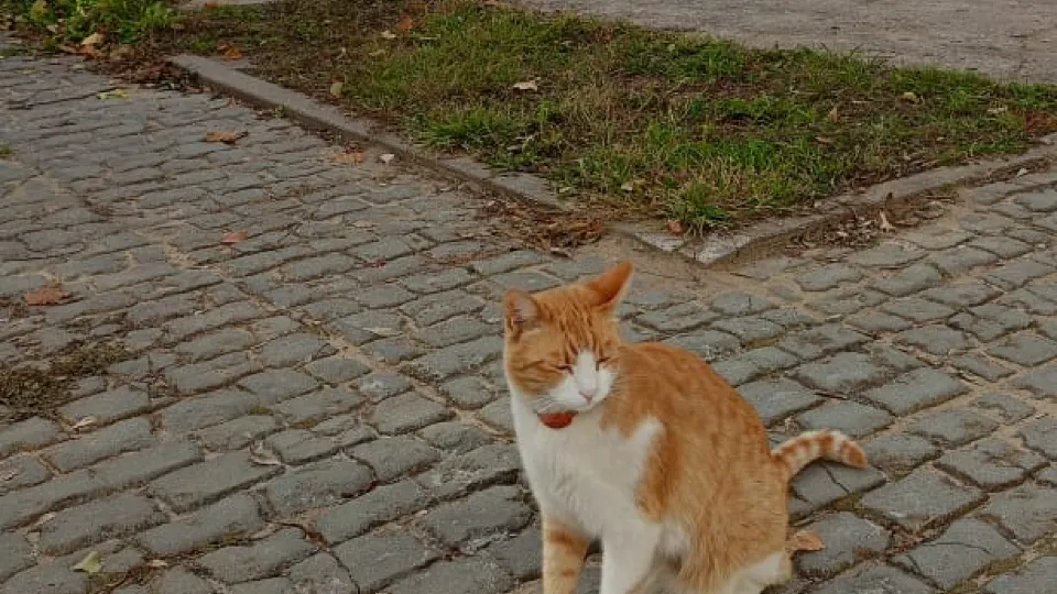 Фото: личный архив Ольги Денисовой