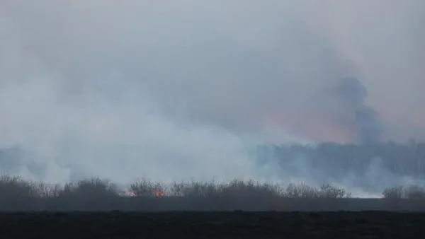 В Тюменской области введен режим ЧС из-за лесных пожаров