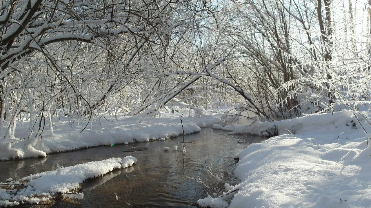 Андрей Башинский