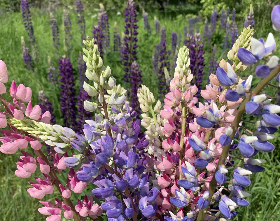 Фото: Екатерина Елисеева