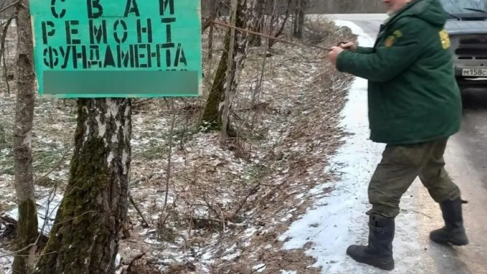 Фото: Комитет лесного хозяйства Московской области