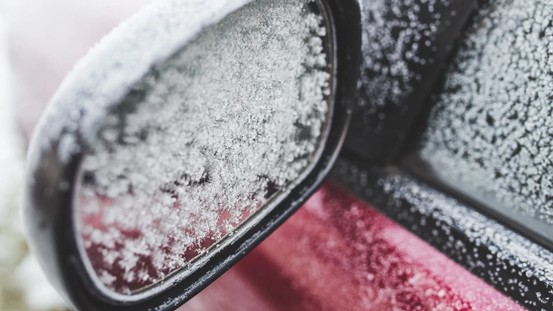 Фото: freepik.com