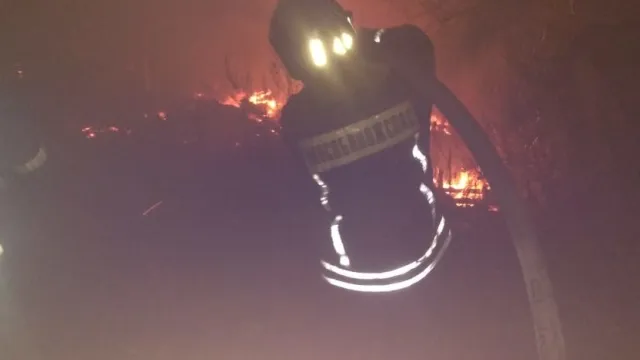 фото: ГУ МЧС России по Московской области