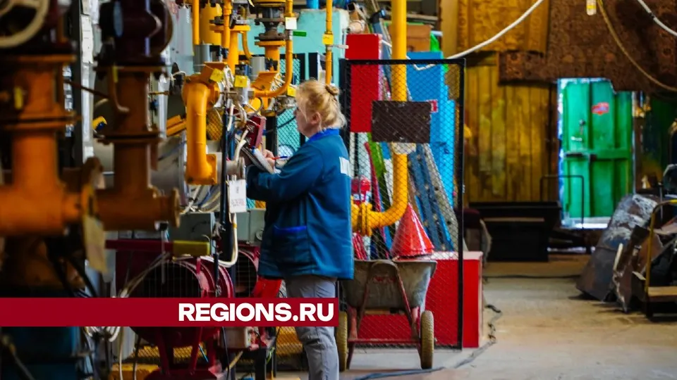 Фото: Анастасия Хренкова