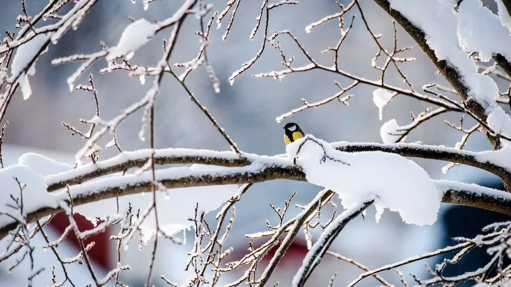 медиасток.рф