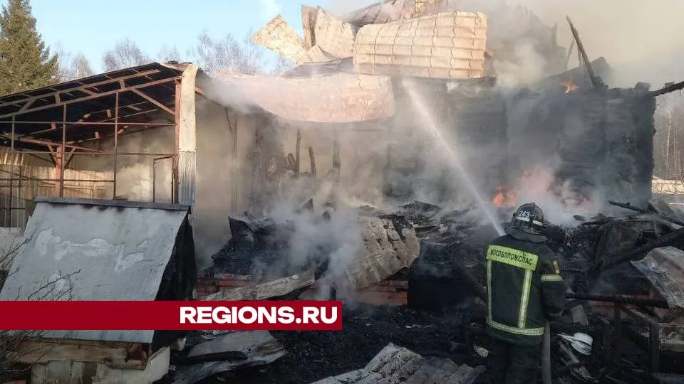 Фото: ЕДДС Орехово-Зуевского г.о.