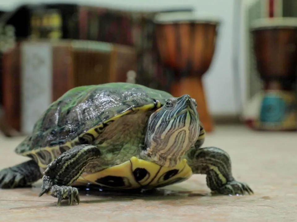 Фото: REGIONS/Наталья Надточая