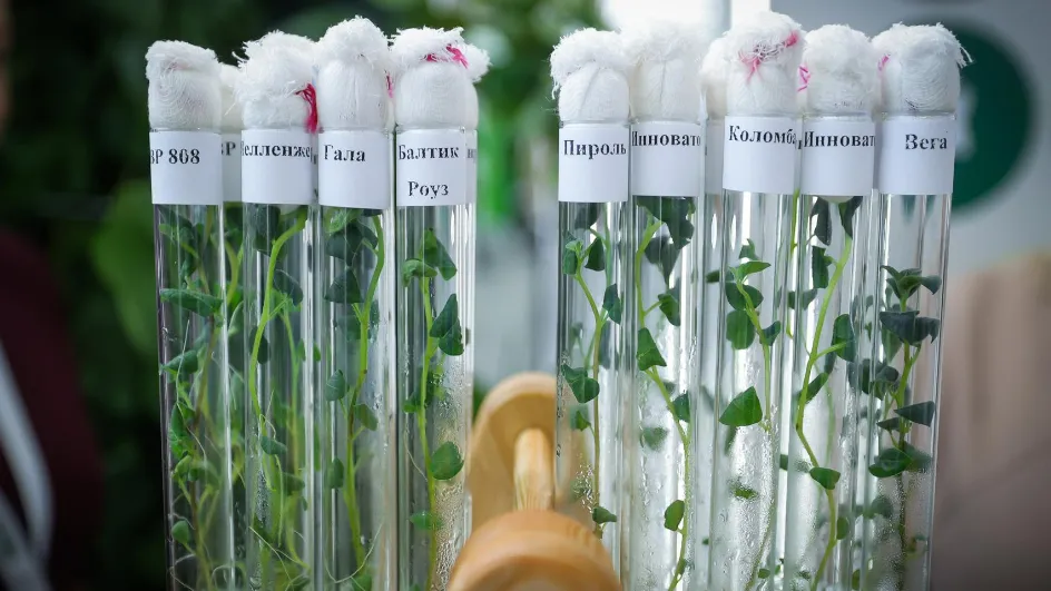 Фото: Константин Семенец