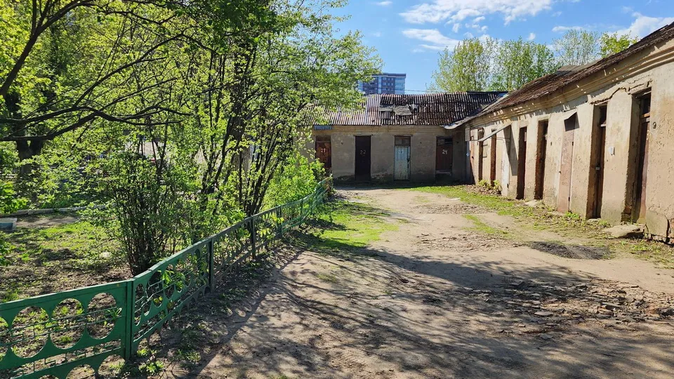 Фото: Ксения Пашуто