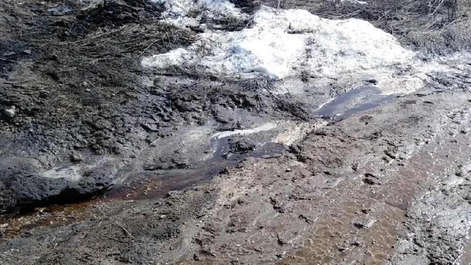 Фото: Минэкологии МО