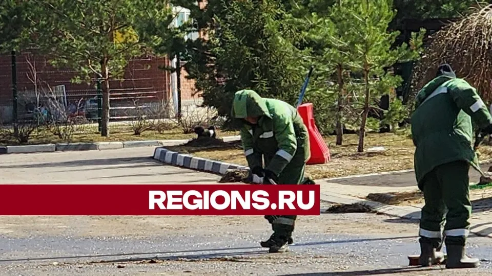 Фото: Юлия Смагринская