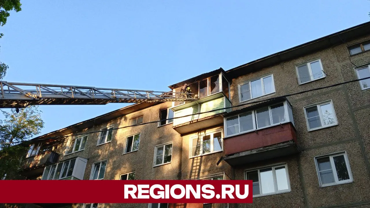 Фото: Regions / Василий Тремасов