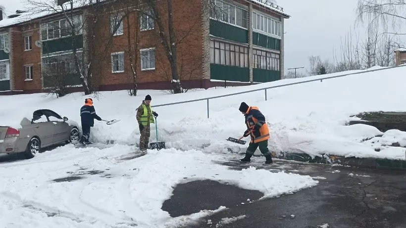 Фото: Пресс-служба администрации городского округа Истра