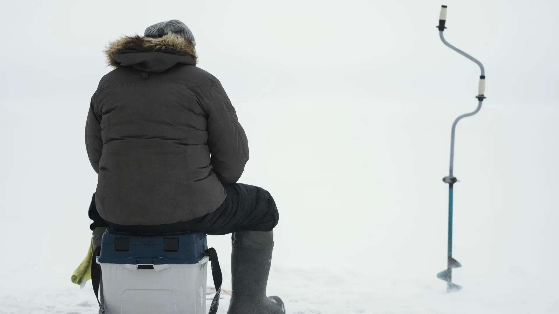 Фото: freepik.com