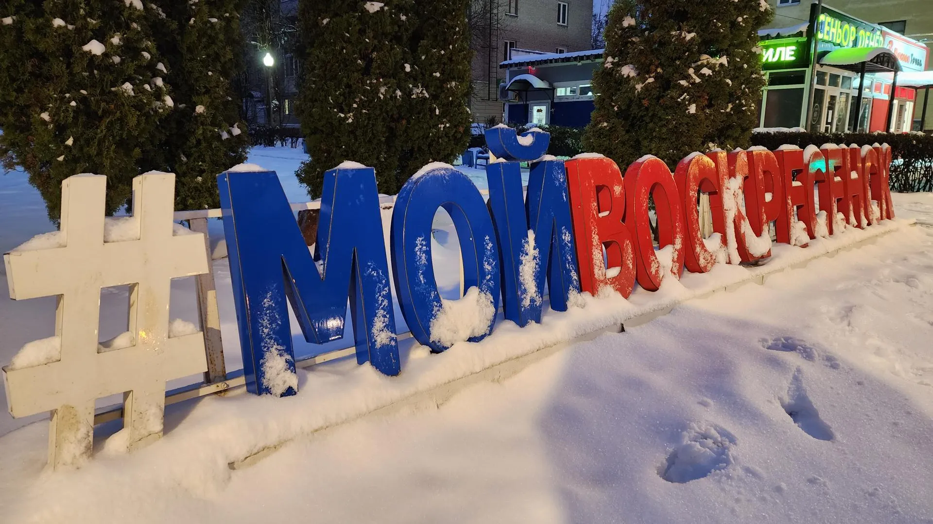 Фото: Светлана Плотникова