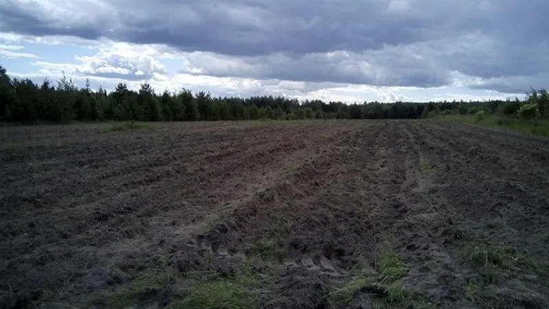 Пресс-служба Комитета лесного хозяйства МО
