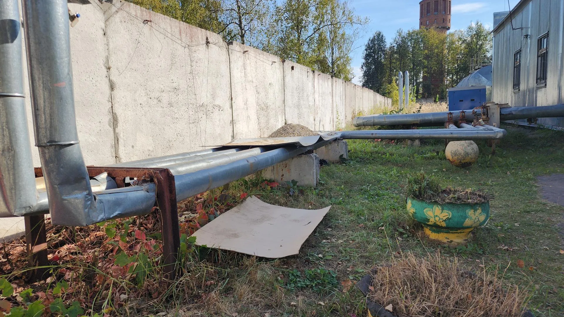 Фото: REGIONS/Иван Петрушин