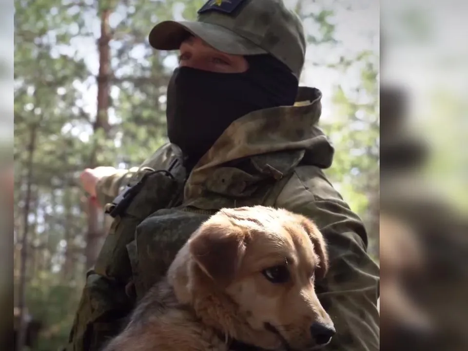 «Пришел на кладбище и сделал круг у могилы»: пес простился с погибшим бойцом СВО и исчез