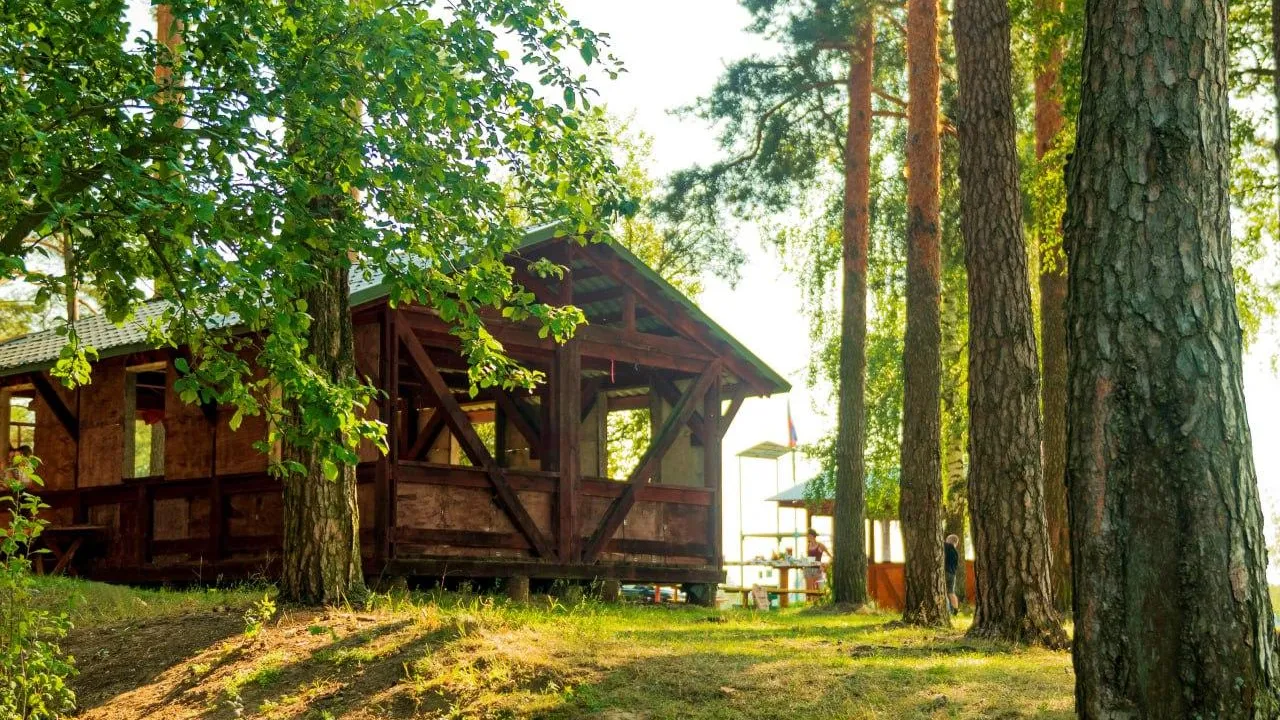 Комитет лесного хозяйства Московской области