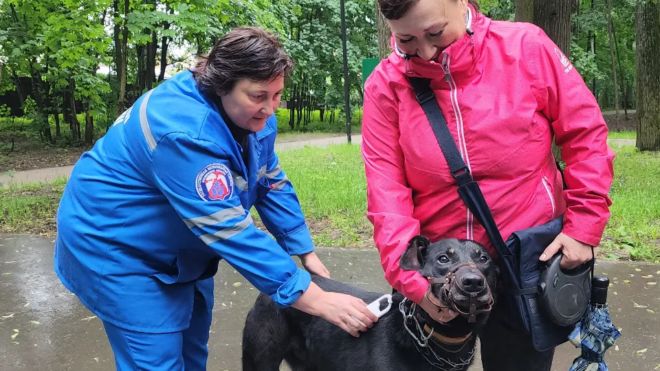 Фото: МедиаБанк Подмосковья/Валерия Тингаева