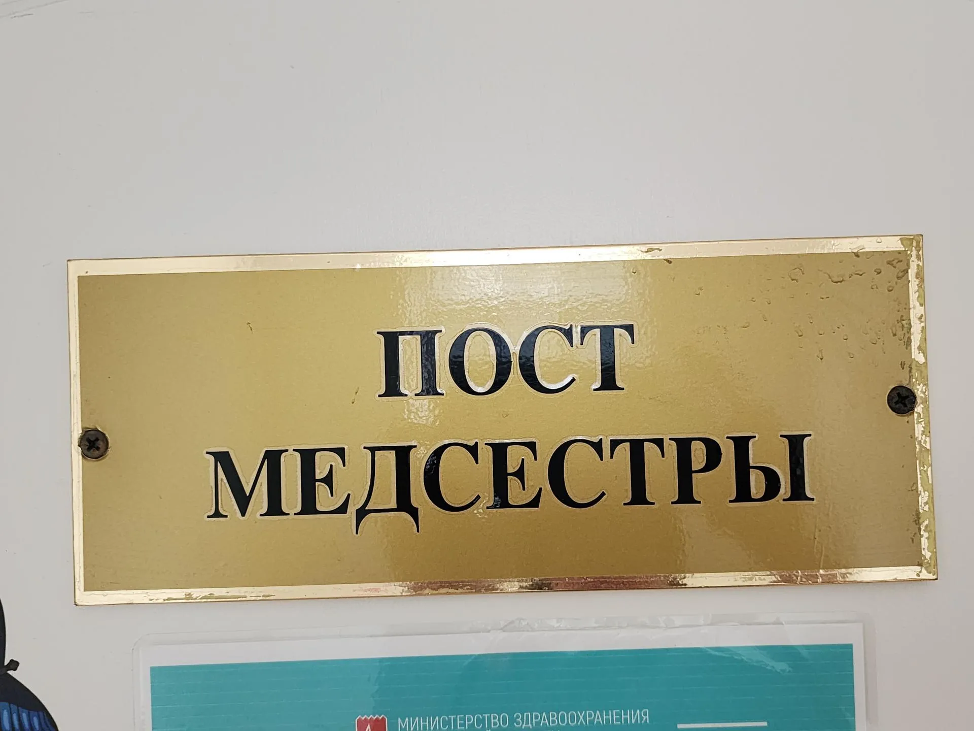 Светлана Бощева