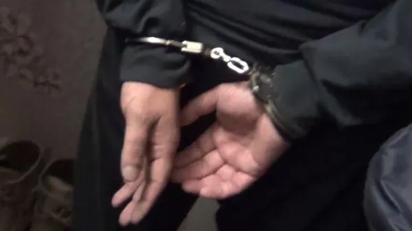 Задержан подозреваемый в убийстве женщины и детей в Ликино-Дулеве