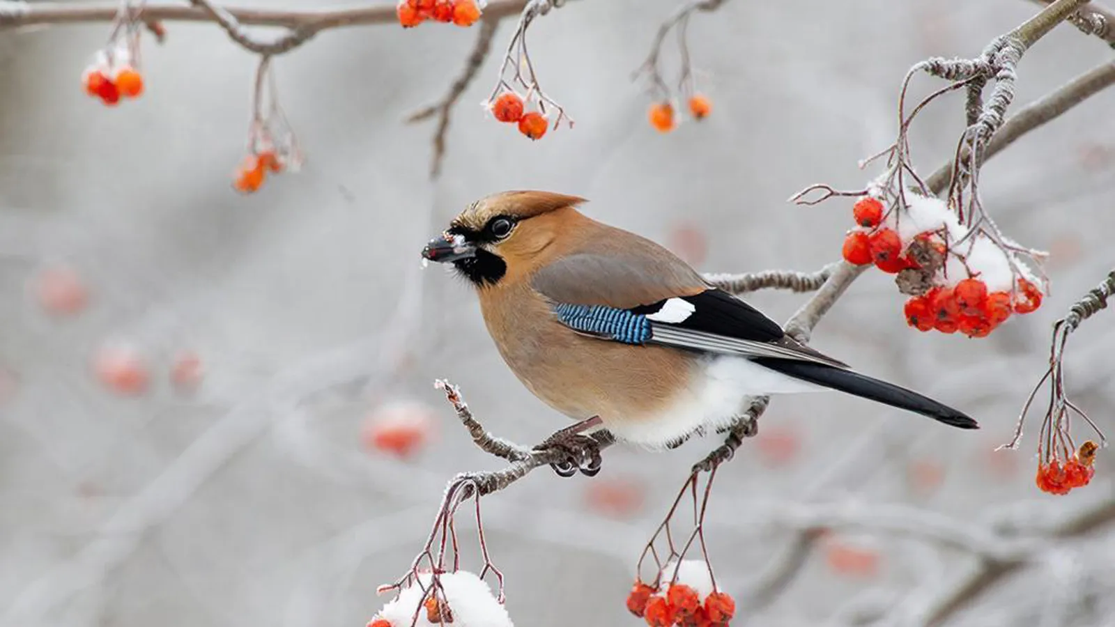 Фото: REGIONS/Сгенерировано нейросетью