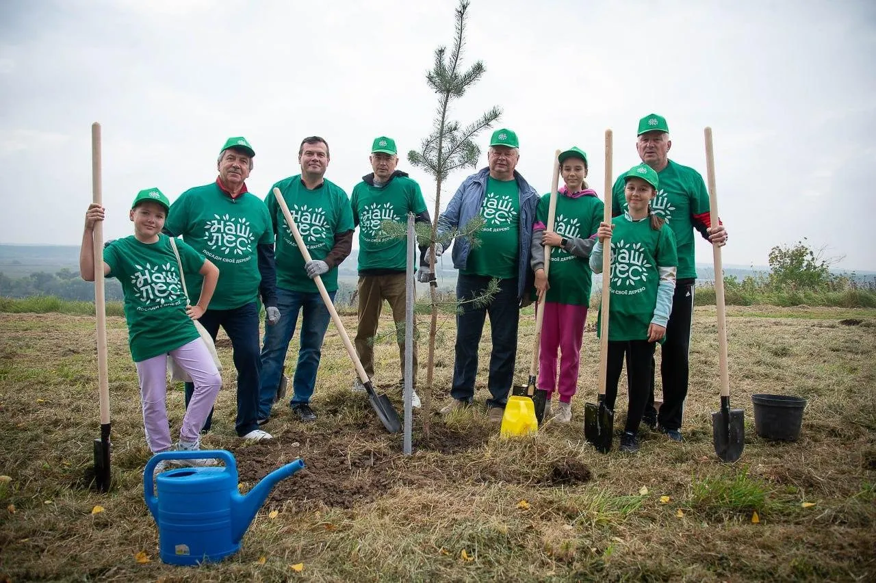 Фото: Комитет лесного хозяйства Московской области