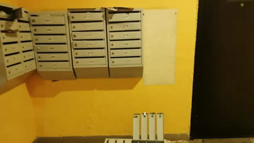 Фото соцсети.