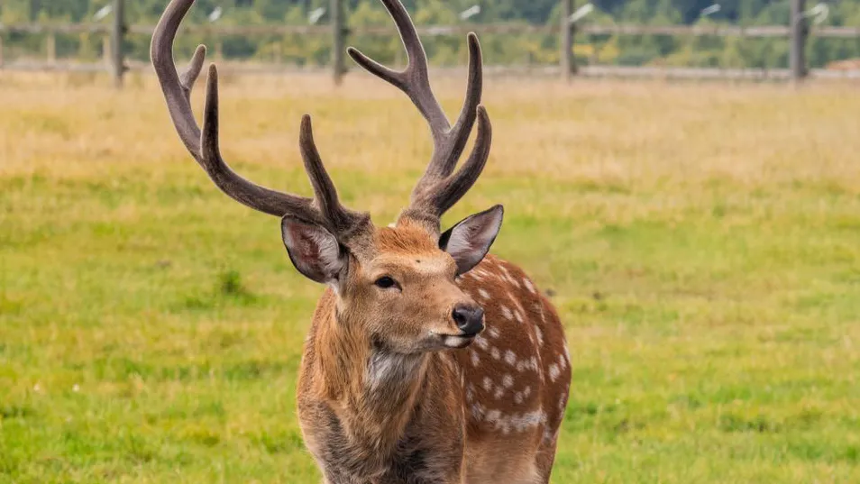 Фото: медиасток.рф