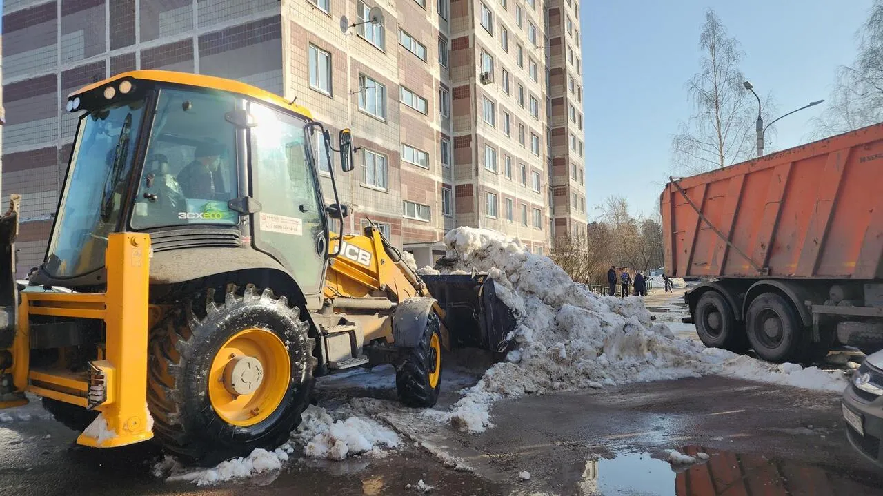 REGIONS/Валерия Тингаева