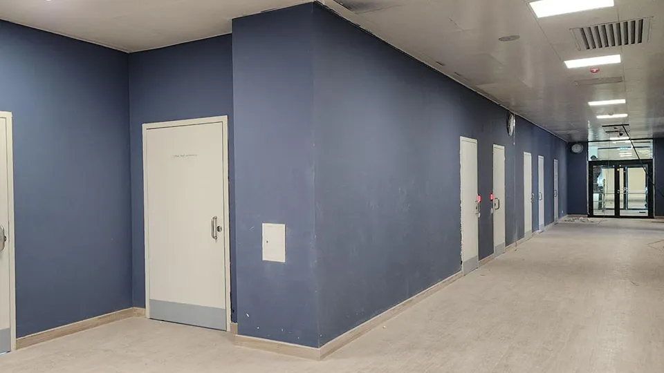 Фото: Валерия Тингаева