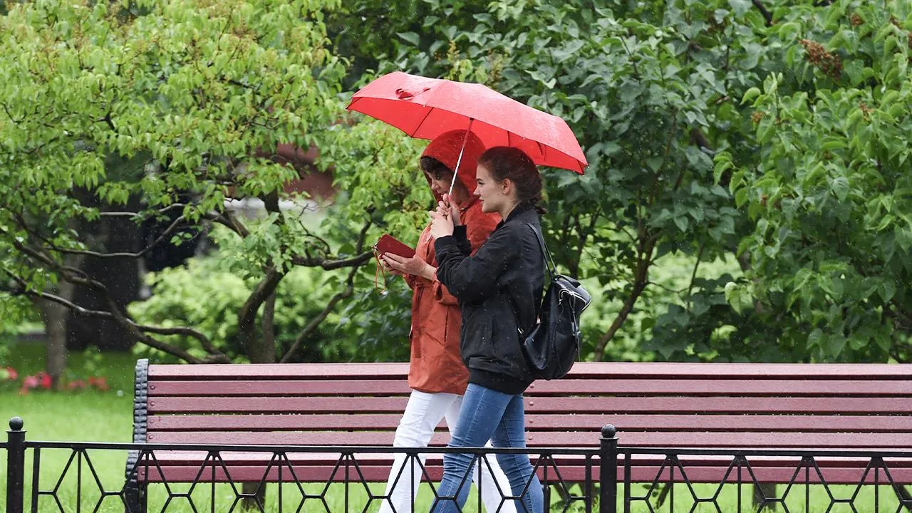 медиасток.рф