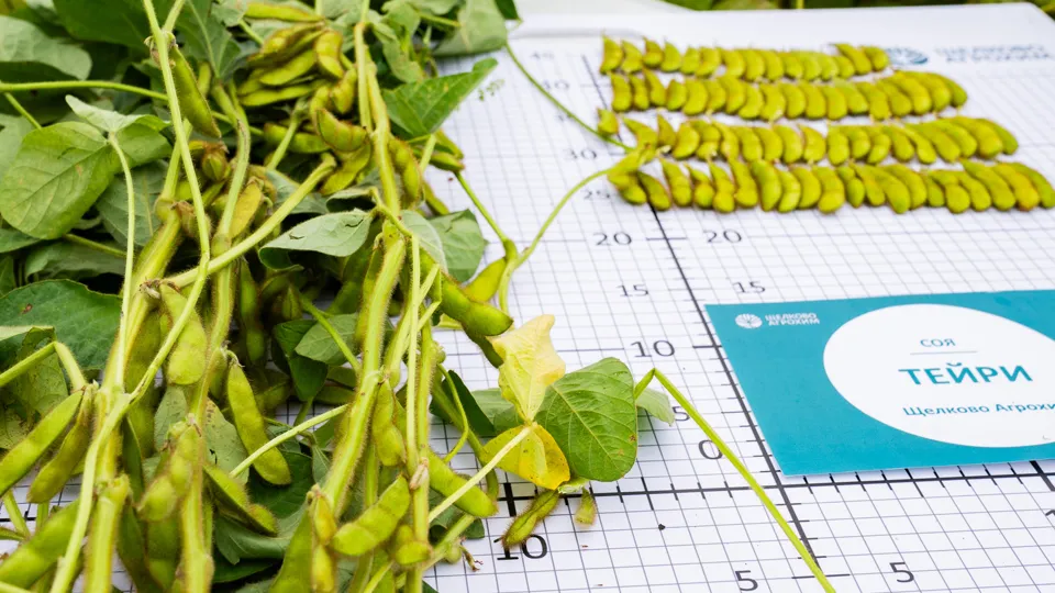 Фото: Компания «Щелково Агрохим»