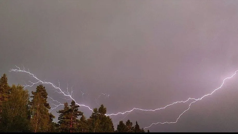 Фото: соцсети