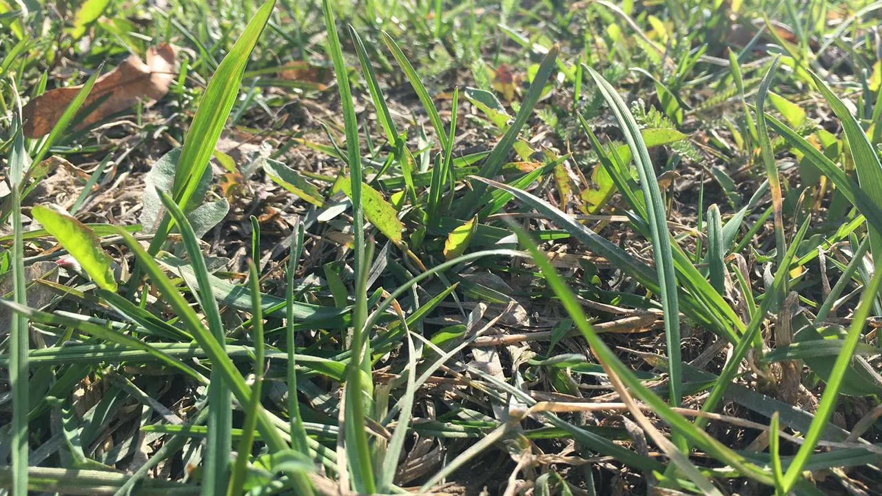 Андрей Синцов