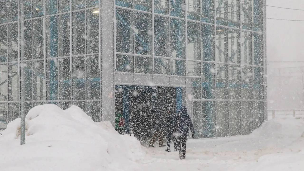 t.me/fedotova_khimki