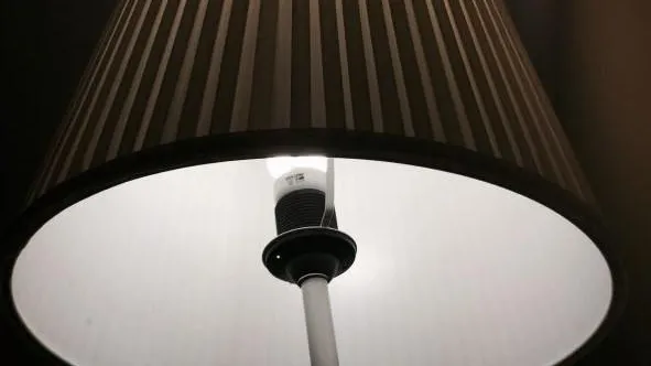 Фото: pxhere.com