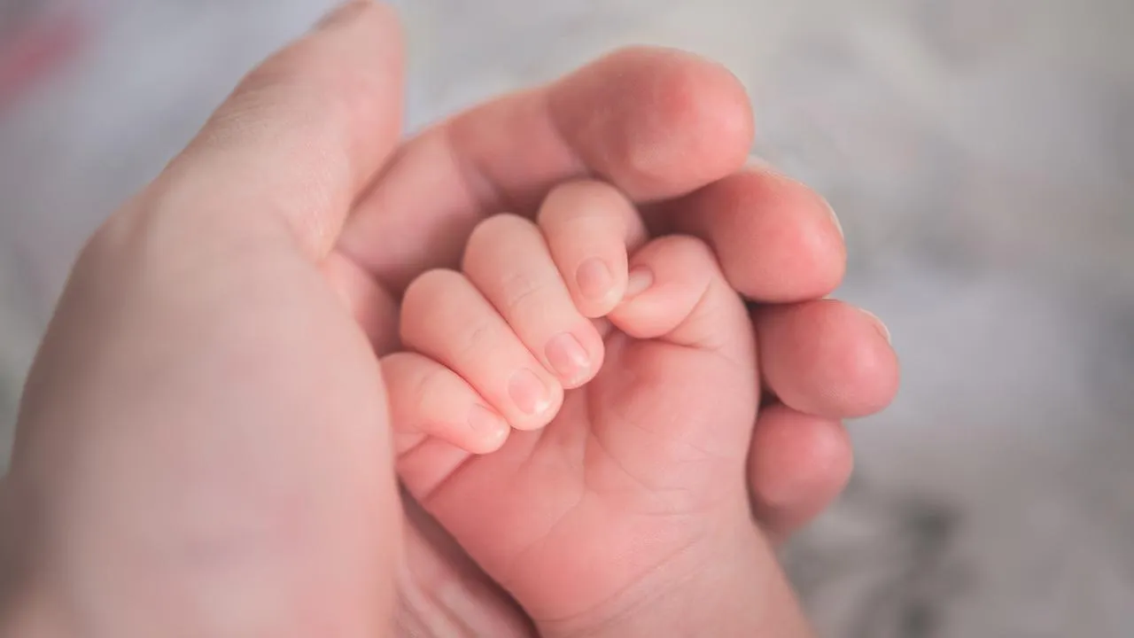 Одиннадцать детей родились в Подмосковье в новогоднюю ночь