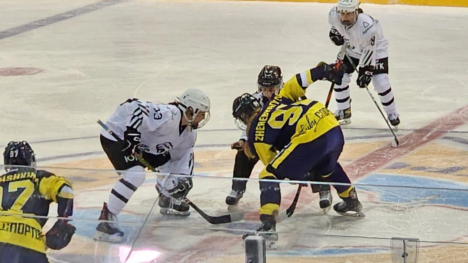 Светлана Плотникова