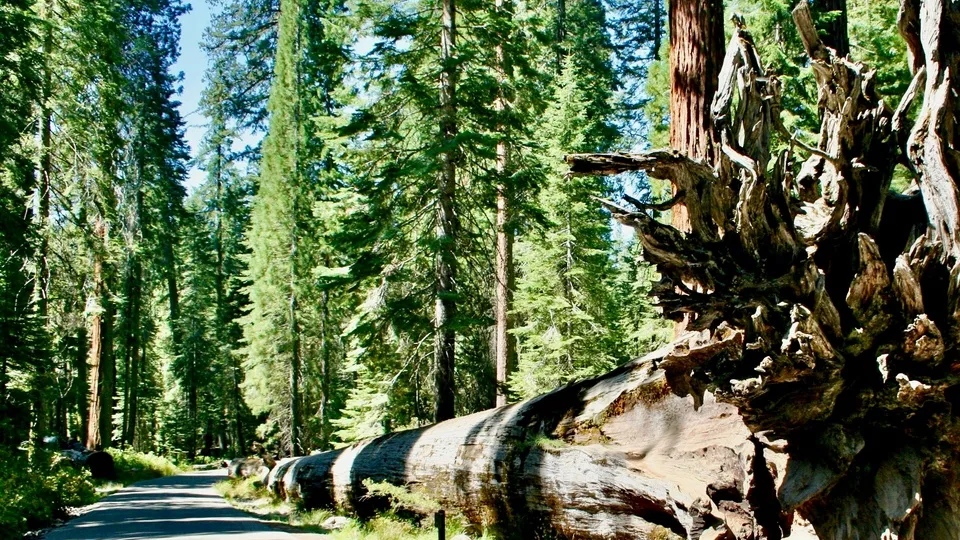 Фото: unsplash.com