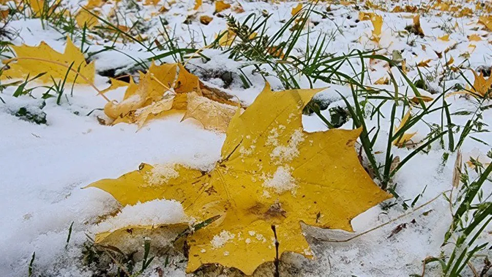 Фото: REGIONS/Наталья Надточная